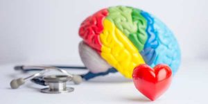 Best Supplements for Brain Health