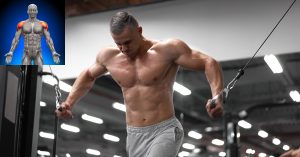 how to get big shoulders