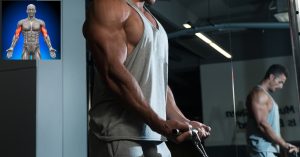 how to get bigger arms